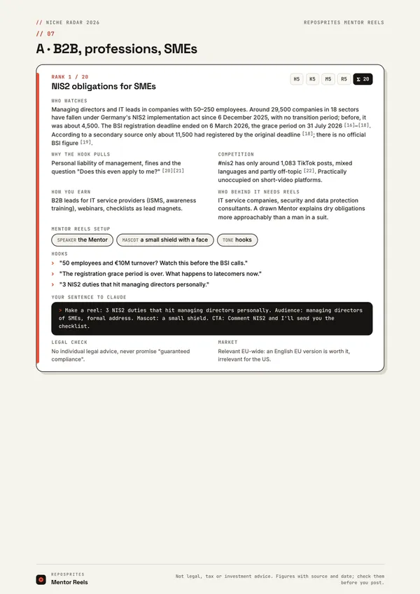 Page from the Niche Radar with niche cards, hooks and prompts.