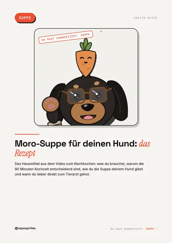 PDF-Cover: Der Dackel mit Karotte, Titel: Moro-Suppe für deinen Hund, das Rezept.