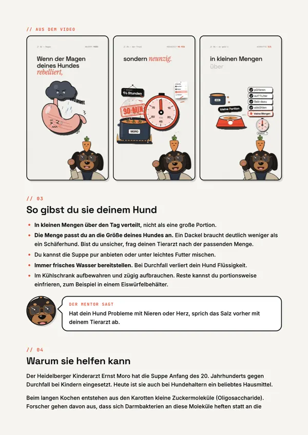 PDF-Seite mit Bildern aus dem Video und Tipps zur Fütterung.